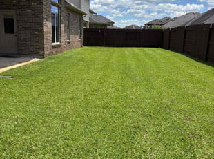 Christian R.'s turf care service result