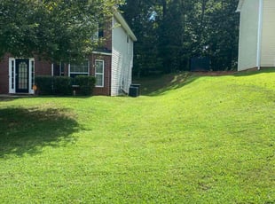 Anthony A.'s grass maintenance service result