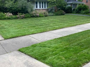 Kim N.'s grass maintenance service result