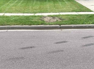 Keith H.'s lawn maintenance service result