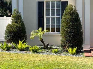 Carol B.'s Bush Trimming service result