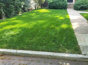 Calvin L.'s lawn care services service result