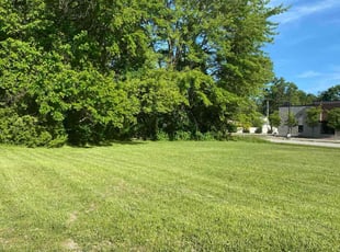 Diane T.'s lawn service service result