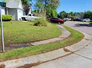 Marc G.'s lawn service service result