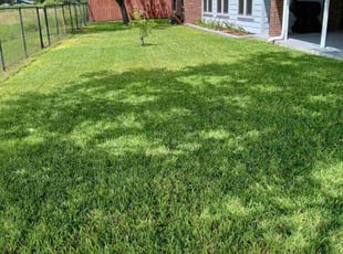 Virginia W.'s lawn care services service result