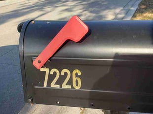 Christy D.'s lawn service service result