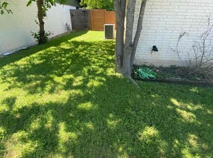 Chris B.'s turf care service result