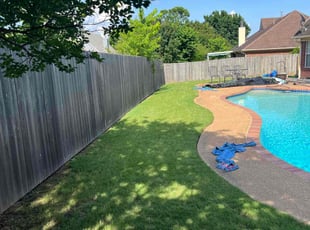 Mary B.'s lawn care services service result