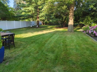 Vance B.'s grass maintenance service result