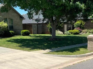 Jule G.'s lawn maintenance service result