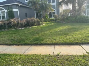 Dianne K.'s lawn care service result