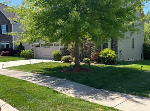 Jere F.'s grass maintenance service result