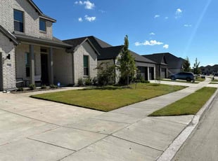 darcy F.'s lawn care service result