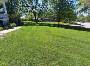 Lorelei R.'s grass maintenance service result