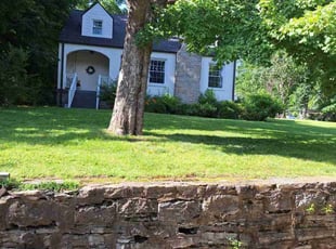 Nicole L.'s grass cutting service result