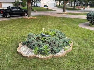 Leonard S.'s turf maintenance service result