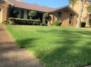 Kim W.'s turf maintenance service result