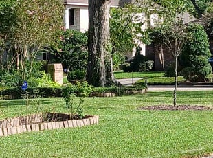 Michele L.'s turf care service result
