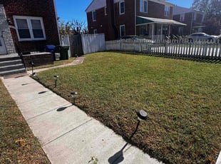 Wayne J.'s grass cutting service result