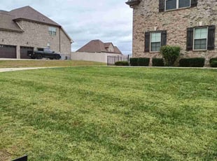 Dakota H.'s Bush Trimming service result
