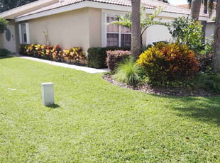 Rachael L.'s lawn service service result