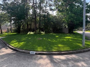 Eva N.'s turf care service result