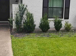 Ron S.'s turf maintenance service result
