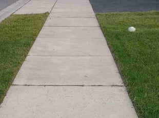 Andrea L.'s grass cutting service result