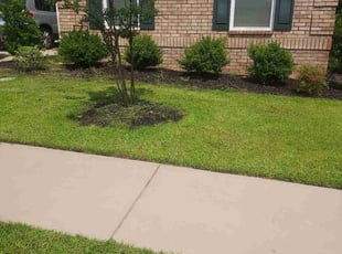 Wes S.'s lawn care service result