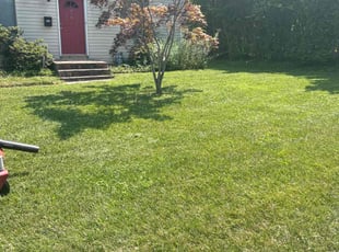 James M.'s lawn maintenance service result