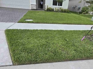 Mark B.'s lawn care service result