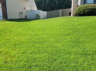 Jon S.'s lawn service service result