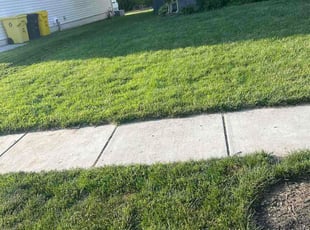 Stephanie C.'s grass cutting service result