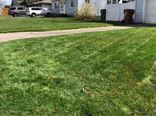 Krista D.'s turf care service result