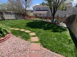 Renee&#039; P.'s turf care service result