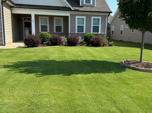 Calvin P.'s turf care service result