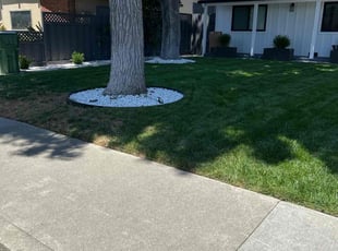 Terrie R.'s lawn service service result