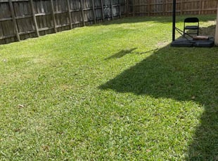 Kristie W.'s grass cutting service result
