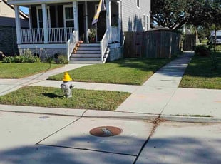 Mary M.'s lawn care services service result