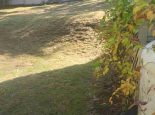 Robert K.'s Bush Trimming service result