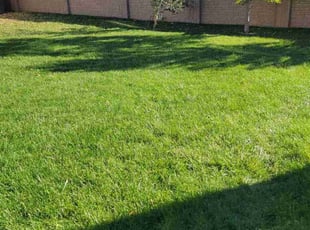 Becky A.'s lawn maintenance service result