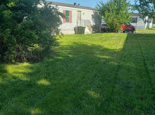 Jessica C.'s turf maintenance service result