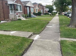 Vada C.'s turf care service result