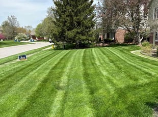 Jennifer L.'s lawn service service result