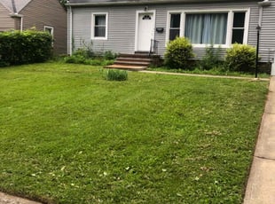 Mike A.'s lawn service service result