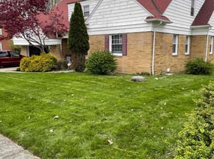 Doug B.'s turf maintenance service result