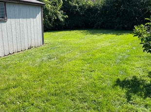 Maraloy T.'s turf maintenance service result