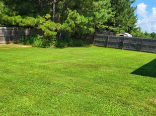 Michael P.'s yard maintenance service result