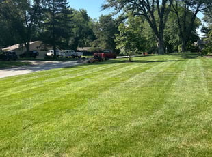 Tammy W.'s lawn care service result