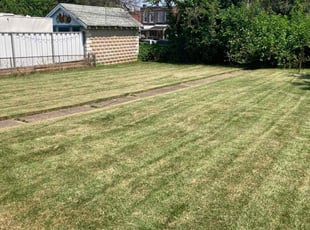 Diana T.'s lawn care services service result